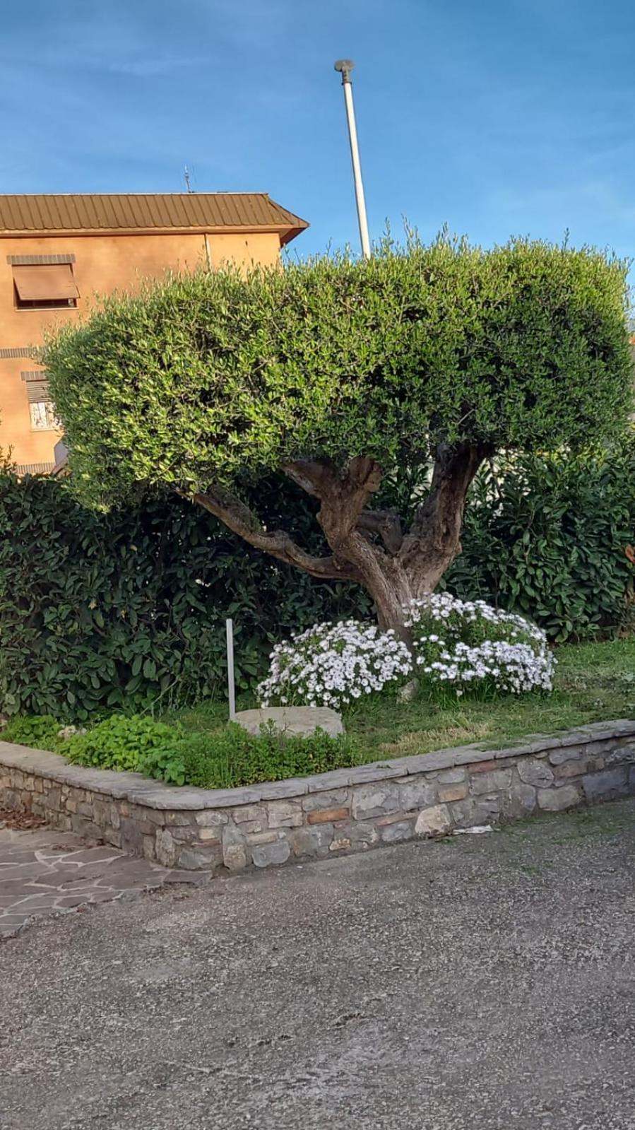 Casetta Delle Fiabe Rome Bagian luar foto